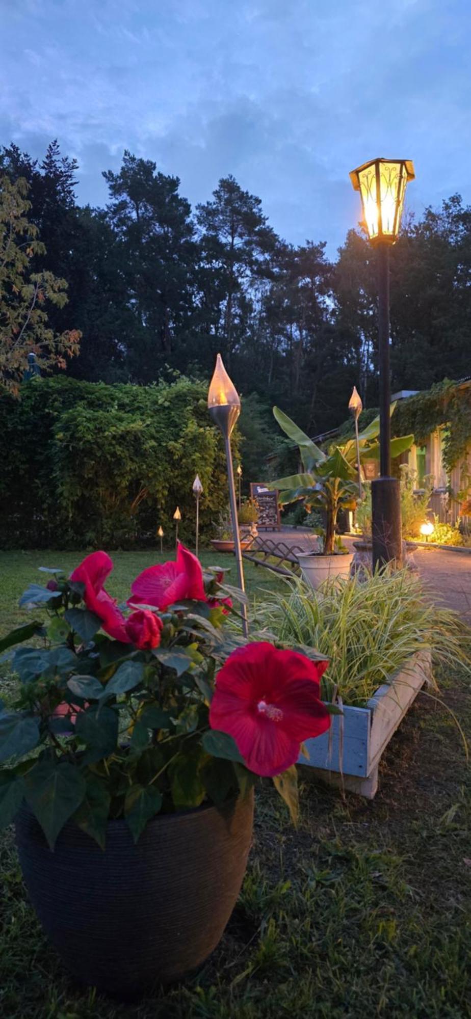 Waldpension Gussow Heidesee Extérieur photo